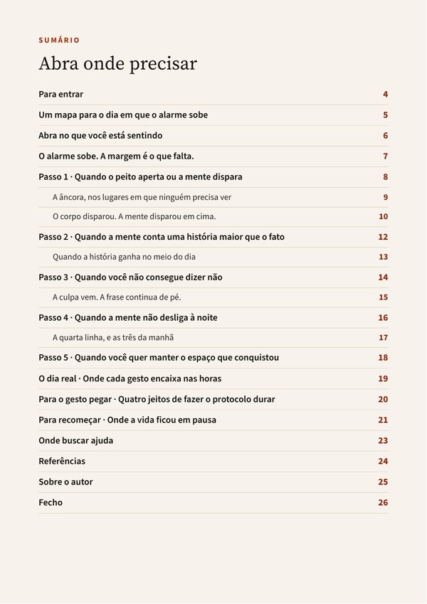 Página do sumário do e-book 5 gestos para você acalmar a ansiedade, com os cinco passos, o roteiro do dia e a página de onde buscar ajuda.